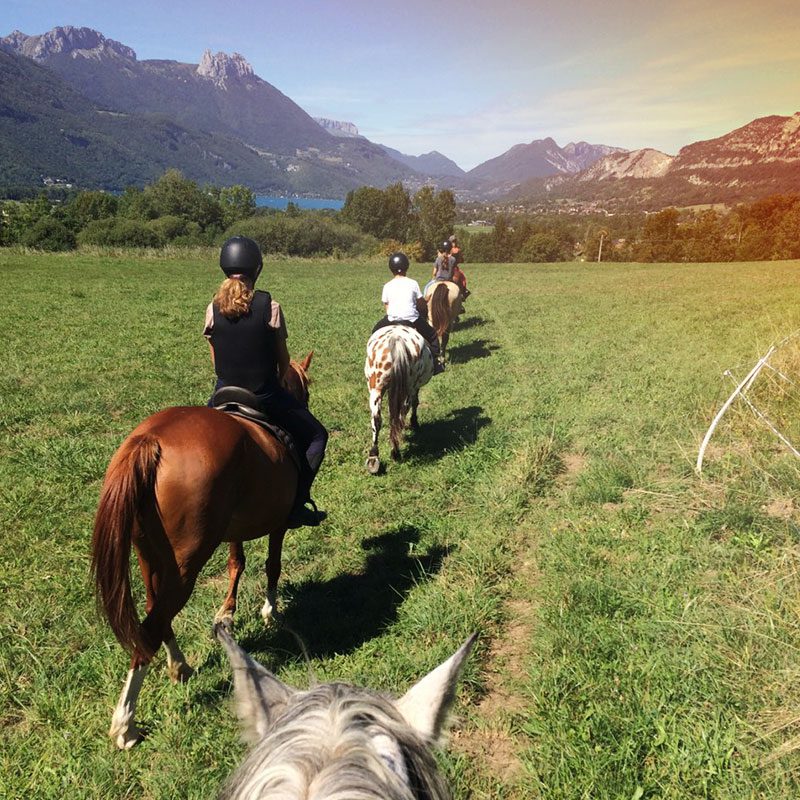 Balade en poney dans la campagne d'Annecy
