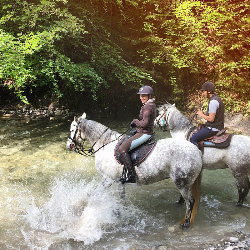 Randonnée équestre dans la riviere