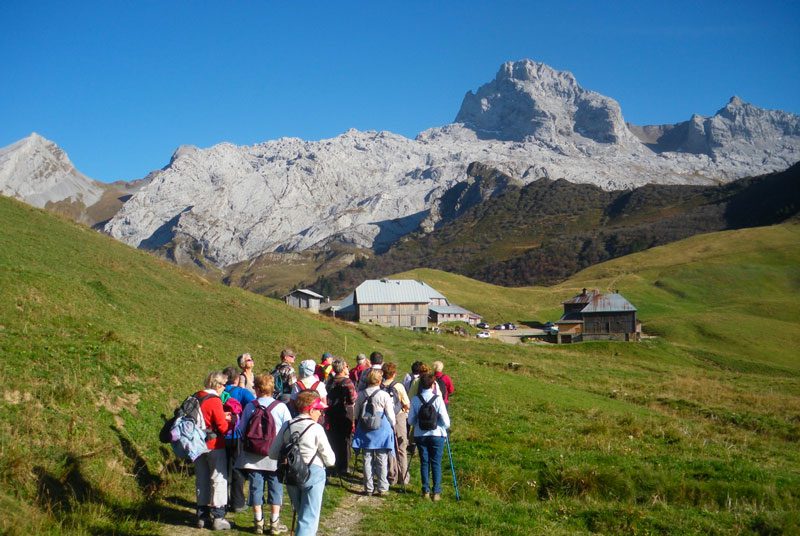 Randonnée de groupe en montagne