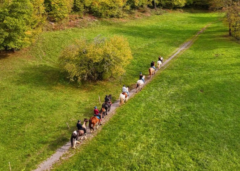 Balade à cheval privative en famille