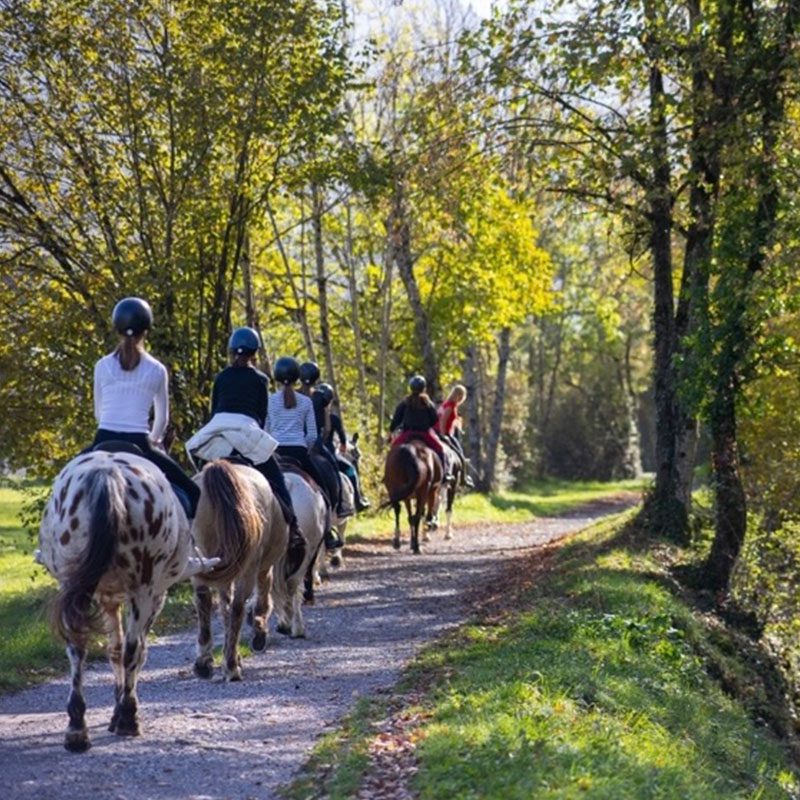 Balade à poney à Annecy