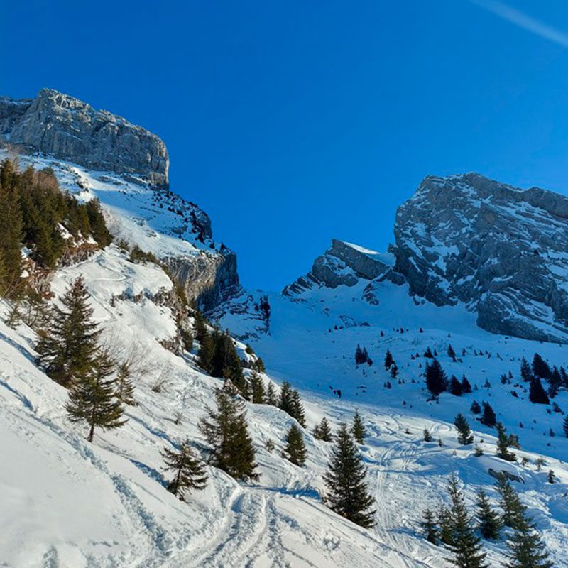 Randonnée en montagne