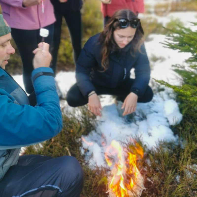 Départ de feu en forêt